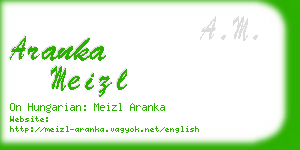 aranka meizl business card